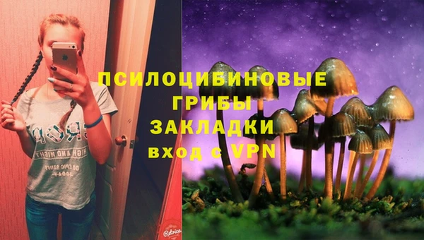 эйфоретик Баксан