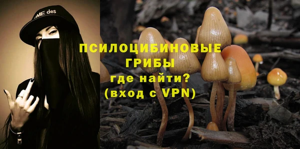 эйфоретик Баксан