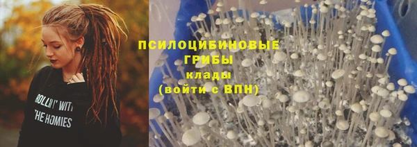 тгк Балабаново