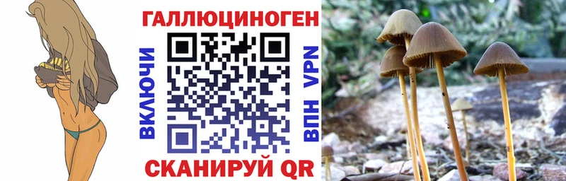 даркнет состав  Луза  Галлюциногенные грибы Magic Shrooms 